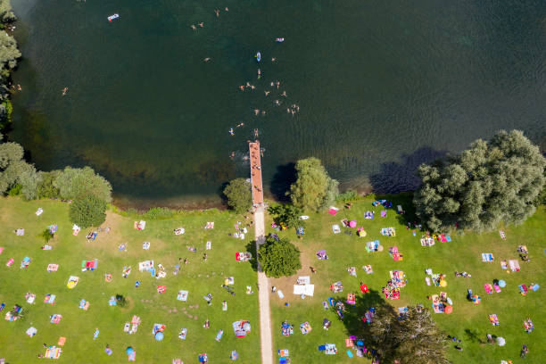 istock People sunbathing and swimming, aerial view 1257836547