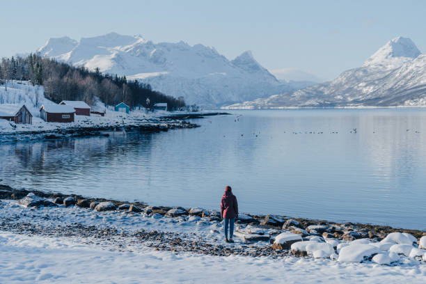 ロフォーテン島の冬の海辺を見ている女性 - winter women zen like photography ストックフォトと画像