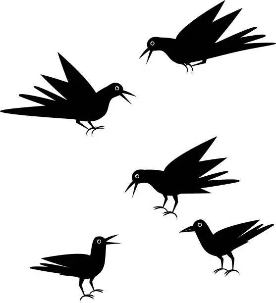 Vector illustration of Crow,