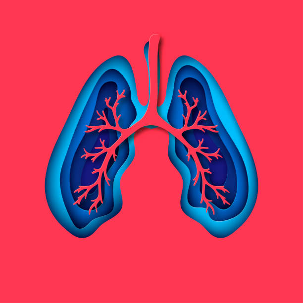 Human paper lungs as symbol of healthy lungs. World Tuberculosis Day, World Lung Day, environment and ecology conservation concept. Vector paper art Human paper lungs as symbol of healthy lungs. World Tuberculosis Day, World Lung Day, environment and ecology conservation concept. Vector paper art human lung stock illustrations