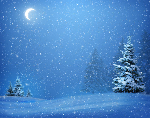 소나무 숲에 조용한 밤 눈. 밤 하늘의 달. 눈송이가 달빛에 소용돌이치는다. 크리스마스 밤. - winter ukraine scenics frost 뉴스 사진 이미지