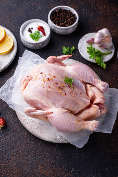 istock Raw chicken with herbs and spices 1257844424