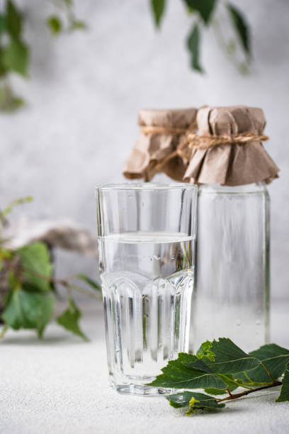 istock Birch juice, traditional Russian spring drink 1257845159