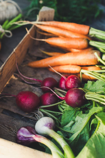 istock Concept for root vegetable, organic raw food 1257845421