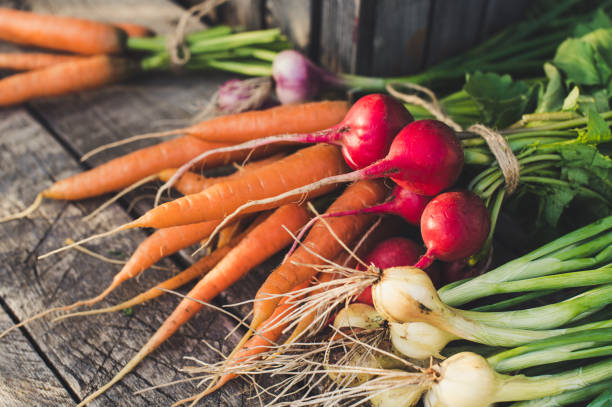 istock Fresh vegetables from the garden on a wooden background 1257845452
