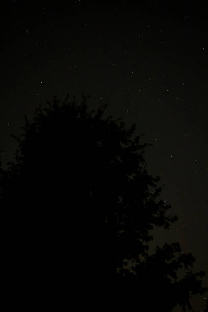 istock Starry night sky A1R_6843 1257849234