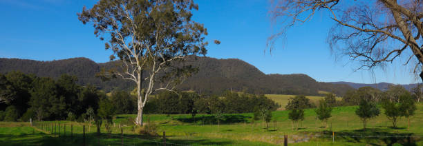 istock Panoramic view of Kangaroo Valley lush green grass trees backdrop mountain range New South Wales Australia 1257850136