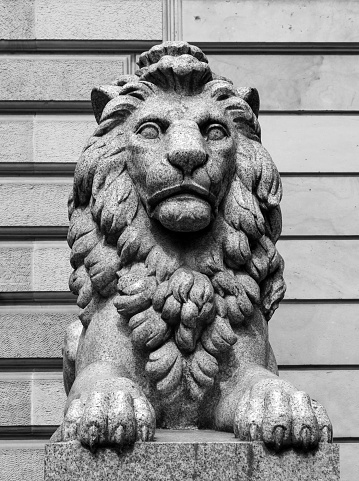 Lion statue in downtown of Hamburg, Germany. Black and white