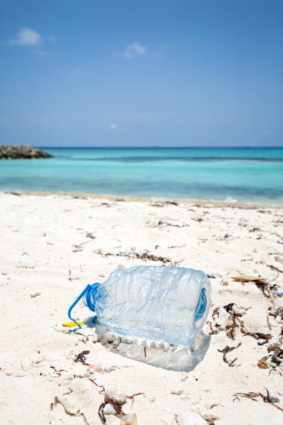 istock Plastic bottle on sandy beach.  Garbage at tropical shore 1257853546