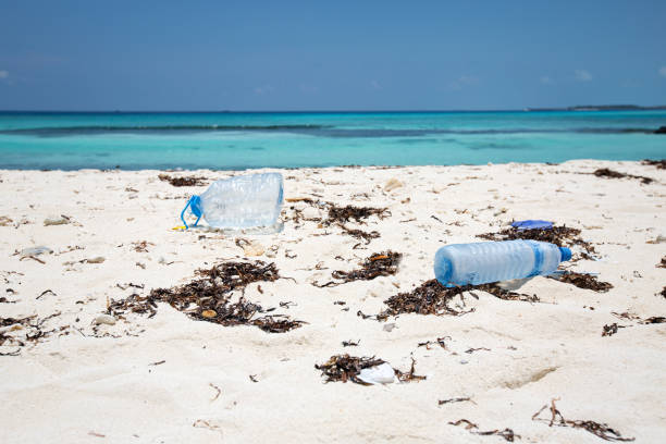istock Plastic bottle on sandy beach.  Garbage at tropical shore 1257853595