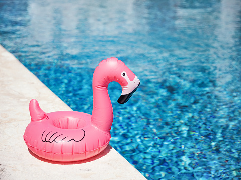 Inflatable toy of pink flamingo near swimming pool at poolside, nobody