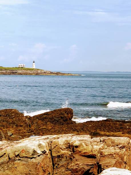 istock Wood Island Lighthouse in the Fall 1257856017