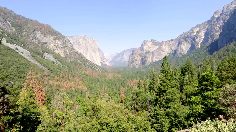 Looking Tunnel View Yosemite