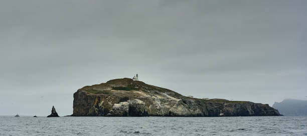 istock Anancapa, Channel Islands 1257856900