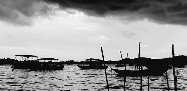 Alter do Chão-Tapajos-Amazonia-Pará-Brazil