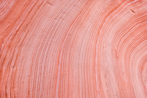 Red pink sandstone layers wave formation on rock wall cliff abstract closeup of design in Zion National Park in Utah on Gifford Canyon trail