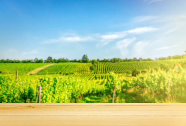 istock Table top template against sunny vineyard hill 1257861055