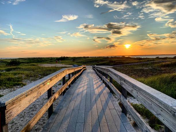 istock Boardwalk to the bay 1257862712