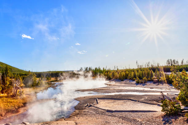 Steam Rises From Geyser at Norris Geyser Basin in Yellowstone National Park Hot steam rises from a geyser in Norris Geyser Basin at Yellowstone National Park, Wyoming, USA, with deliberate sun flare. norris geyser basin photos stock pictures, royalty-free photos & images