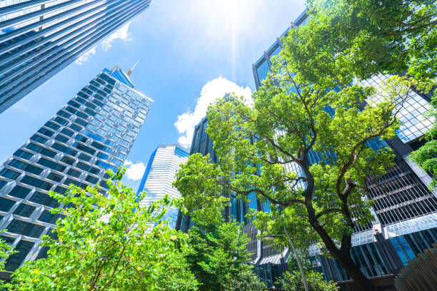 business towers and green leaves - hong kong city urban scene building exterior imagens e fotografias de stock
