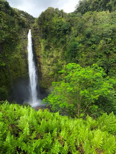 Akaka Falls State Park