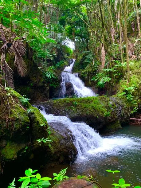 Waterfalls in Hawaiian Botanical Gardens