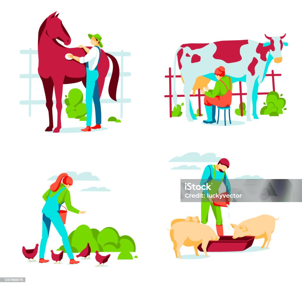 People Taking Care Of Animals On Farm Stock Illustration - Download Image  Now - Body Care, Flat Design, Livestock - iStock