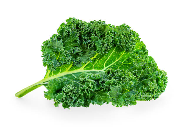istock Kale leaves. Green  curly  salad leaf isolated on white background. Kale macro 1257896124