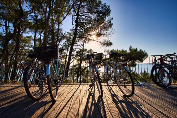 tramonto sul bacino di arcachon - wheel cycling nobody outdoors foto e immagini stock