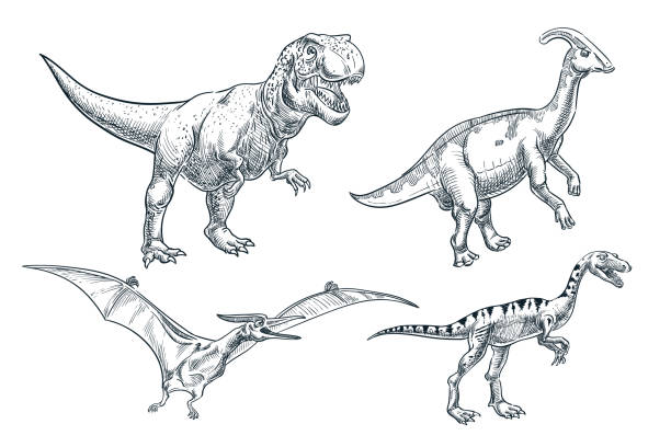 Desenho Realista Dinossauro Brontossauro Ilustração Stock