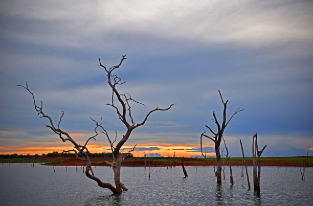 istock Sunset on Lake Kariba 1257906071
