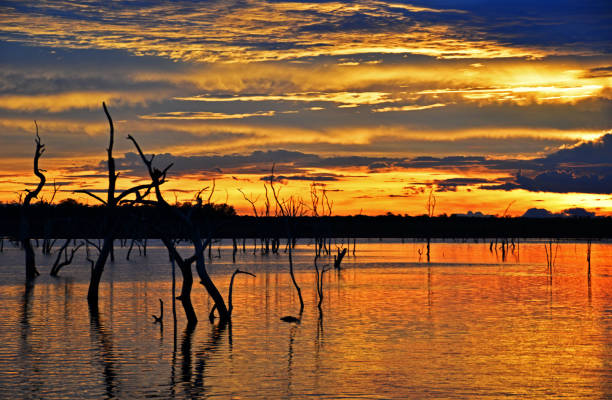 istock Sunset on Lake Kariba 1257906109