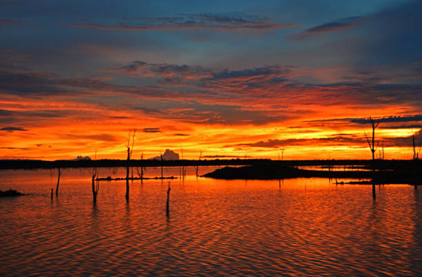 istock Sunset on Lake Kariba 1257906164