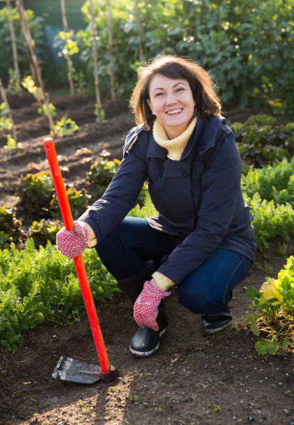 istock Woman hoeing in garden 1257909936