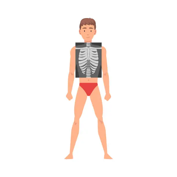 Vector illustration of Young Man Standing in Undershorts Doing His Chest Roentgen Vector Illustration