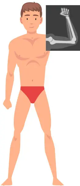 Vector illustration of Young Man Standing in Undershorts Doing His Forearm Roentgen Vector Illustration