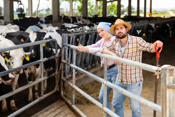 istock Two farmers posing on dairy farm 1257912395