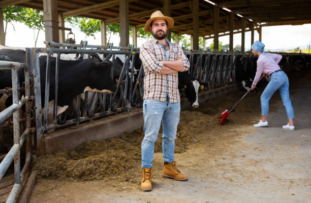 istock Portrait of successful farmer in cowshed 1257912396