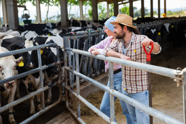 istock Successful farm family in cowshed 1257912399
