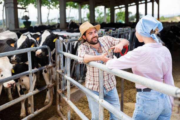 istock Farm family communicating near cowshed 1257912402