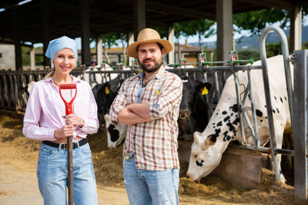 istock Owners of dairy farm standing in stall 1257912416