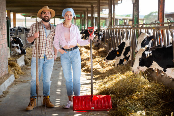 istock Successful farm family in cowshed 1257912428
