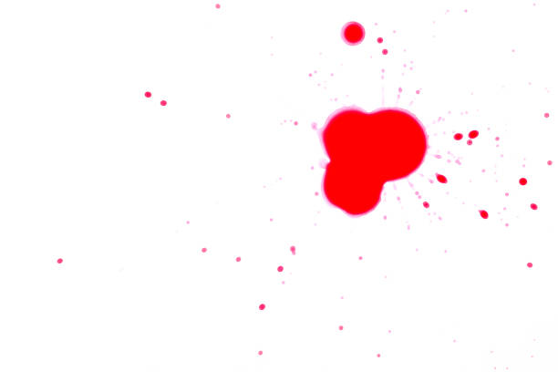 Splattered Blob Ink Paint Blood Red Spot Drop Splattered Ink Paint on a White Background. Canon 5DMkii Lens EF100mm f/2.8L Macro IS USM ISO 100 blob photos stock pictures, royalty-free photos & images