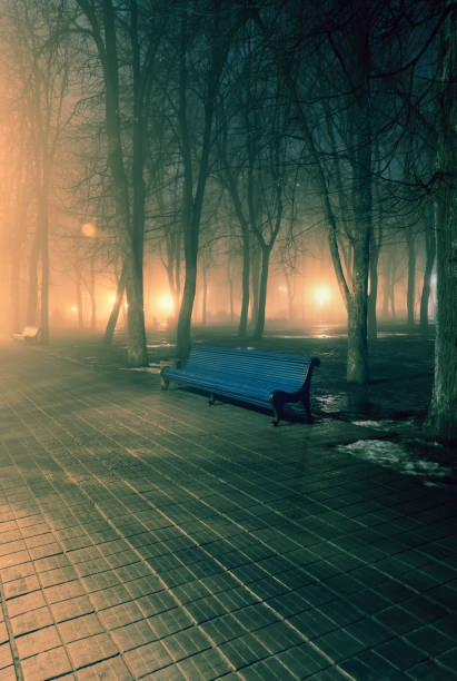 istock Bench in misty city park at night 1257915970