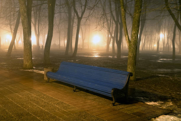 istock Bench in misty city park at night 1257915994