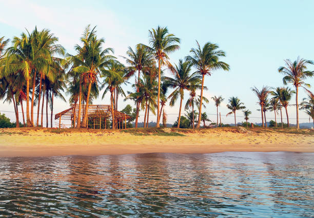 istock Palm trees with Bamboo hut on the beach. 1257917425