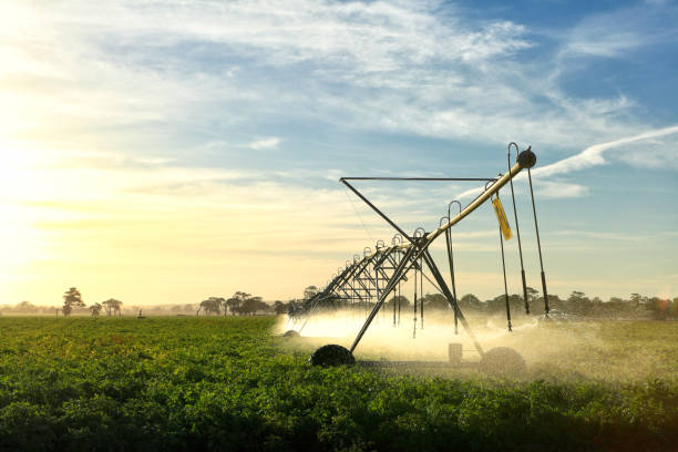 istock Center Pivot Irrigation Agriculture Crop Irrigation 1257918699