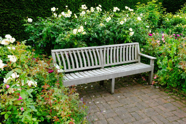 istock Wooden Garden Bench 1257919835