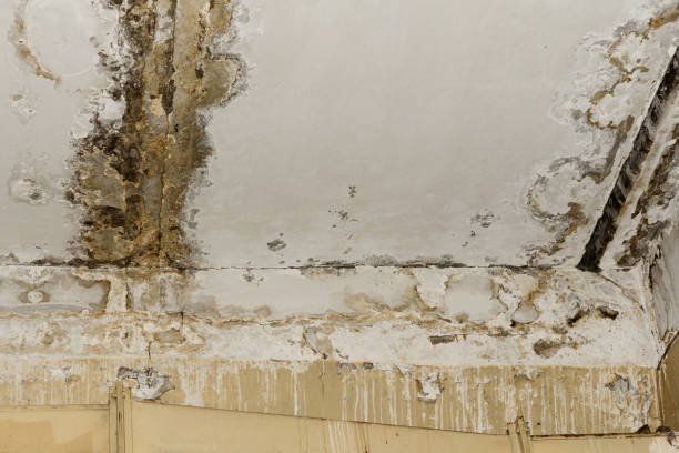 consequências do vazamento do telhado na antiga sala de escritório - plasterboard ceiling plaster molding - fotografias e filmes do acervo