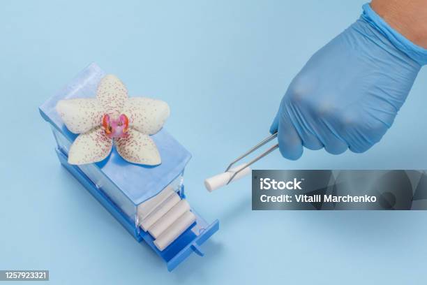 Dentists Hand With Tweezers And Box Of Cotton Tampons Stock Photo - Download Image Now